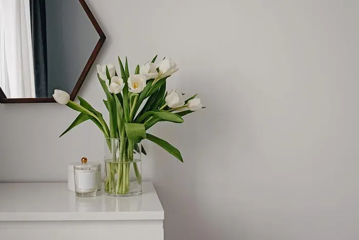 Spring Cleaning And Feng Shui for Renters