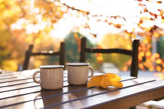 Fall Life at Dane Park North Garland