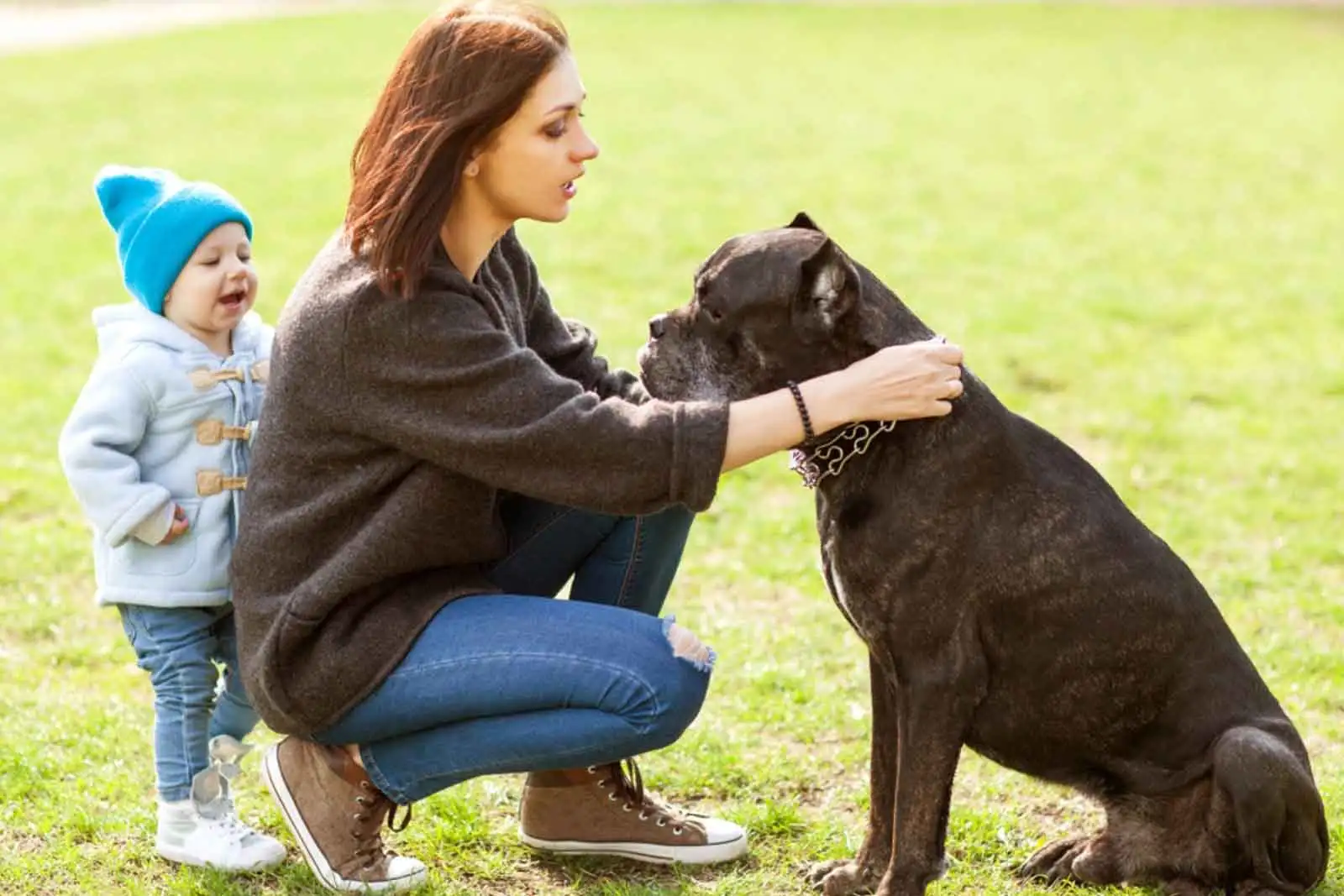 cane-corso-with-woman-and-child.webp